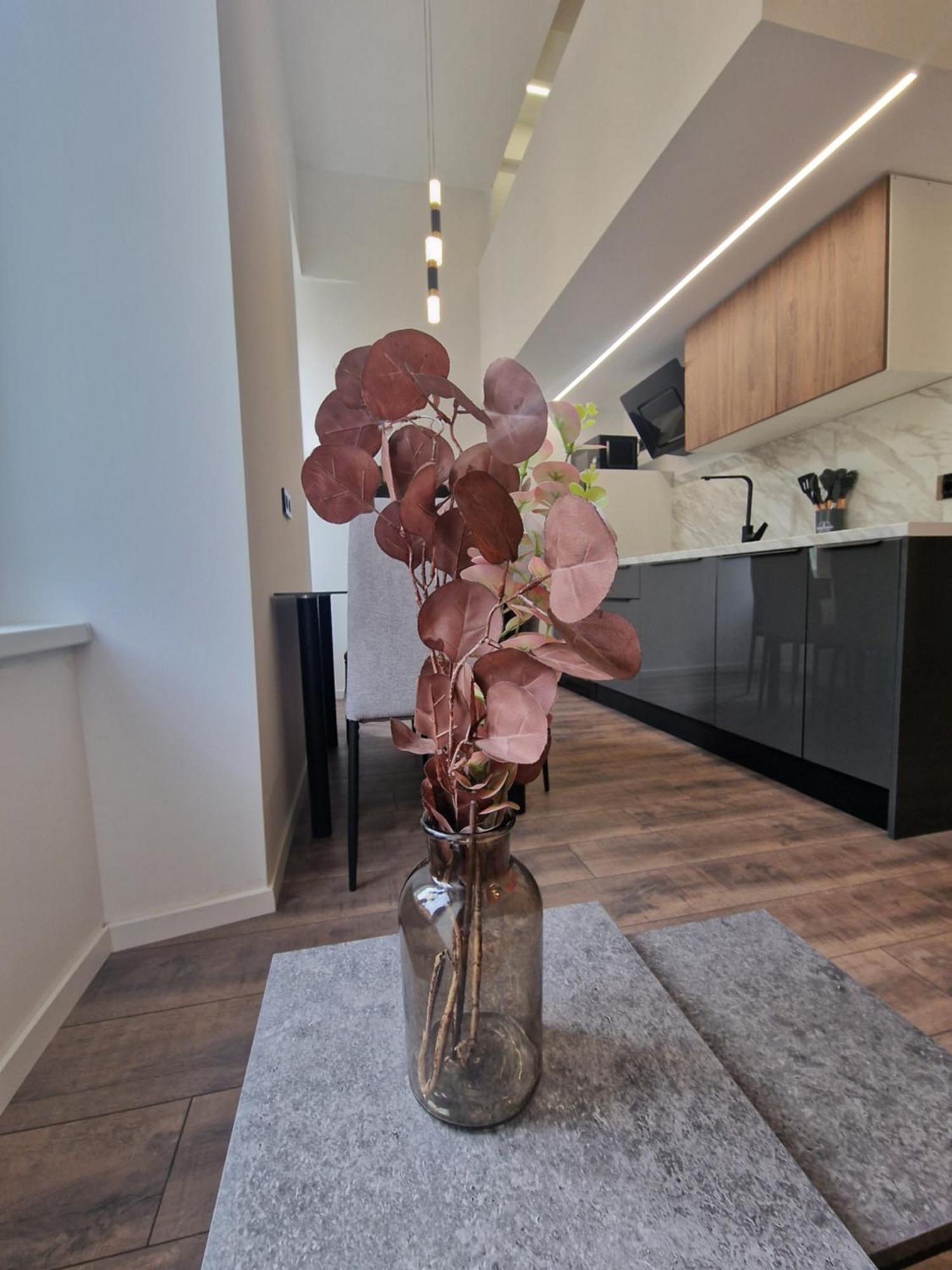 Veneziana Apartments غييكا المظهر الخارجي الصورة